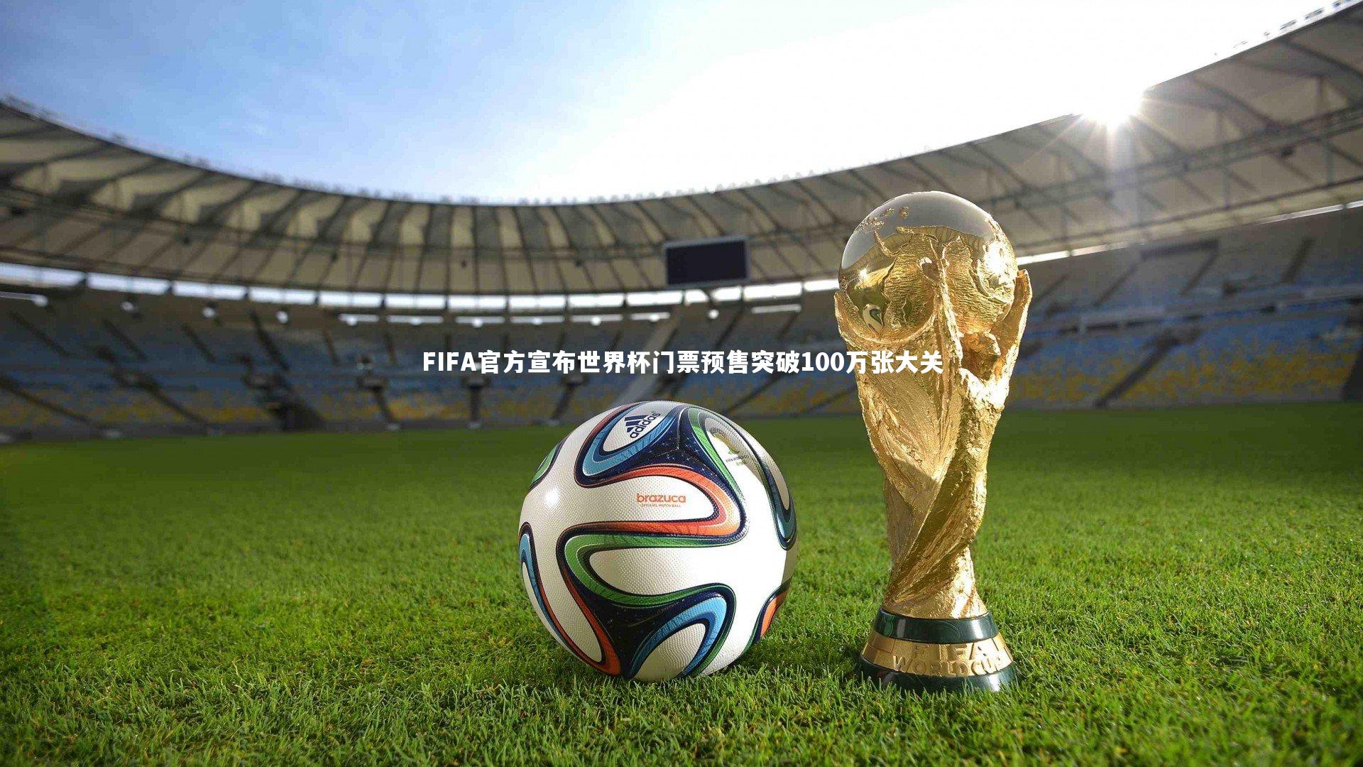 FIFA官方宣布世界杯门票预售突破100万张大关